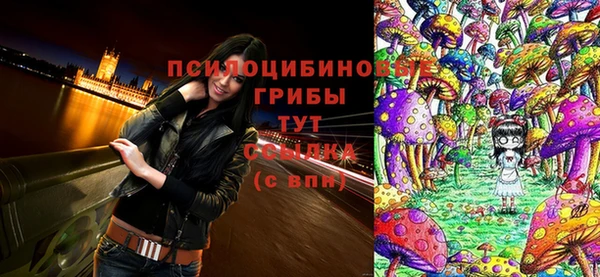 спайс Гусев