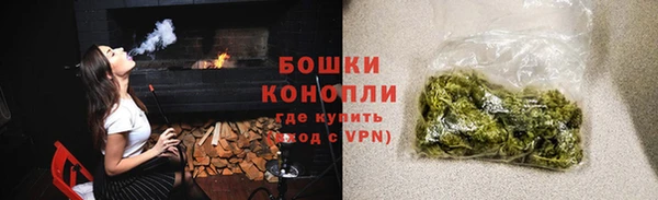 спайс Гусев