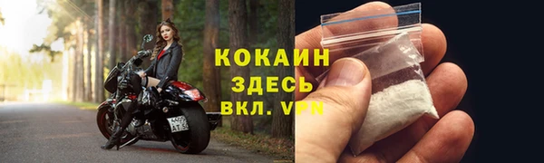 спайс Гусев