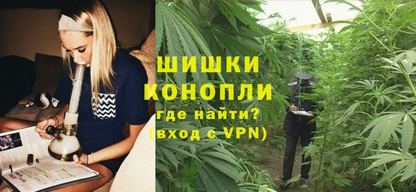 спайс Гусев