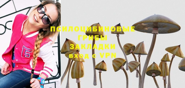 спайс Гусев