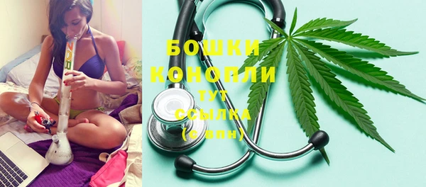спайс Гусев