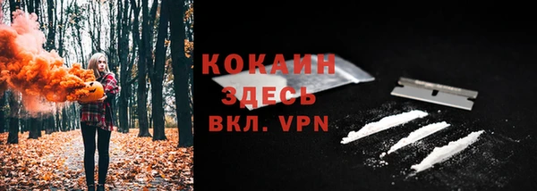 прущая мука Гусиноозёрск