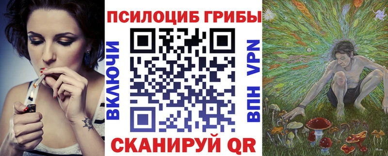 mega вход  продажа наркотиков  Пикалёво  Галлюциногенные грибы Psilocybine cubensis 