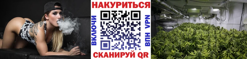 где продают наркотики  OMG ССЫЛКА  Бошки марихуана LSD WEED  Пикалёво 